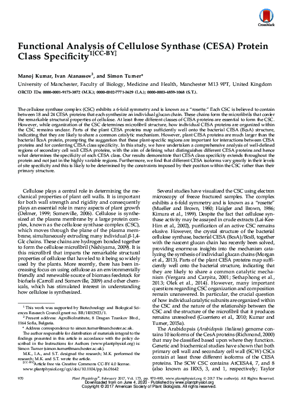 (PDF) Functional Analysis of Cellulose Synthase (CESA) Protein Class ...