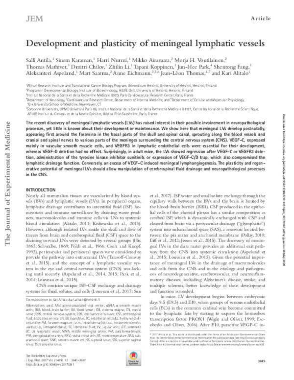 (PDF) Development and plasticity of meningeal lymphatic vessels