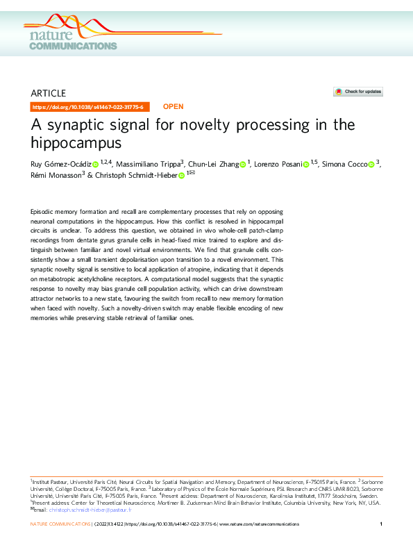 (PDF) A synaptic signal for novelty processing in the hippocampus