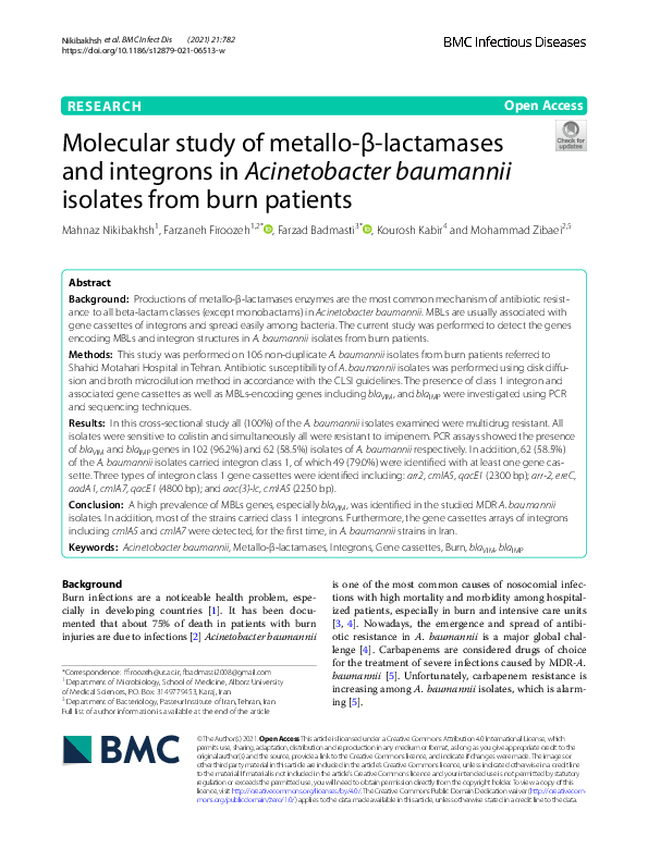 (PDF) Molecular study of metallo-β-lactamases and integrons in ...