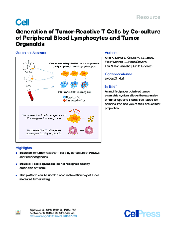 (PDF) Generation of Tumor-Reactive T Cells by Co-culture of Peripheral ...
