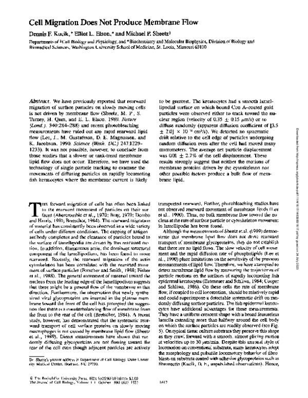 (PDF) Cell migration does not produce membrane flow