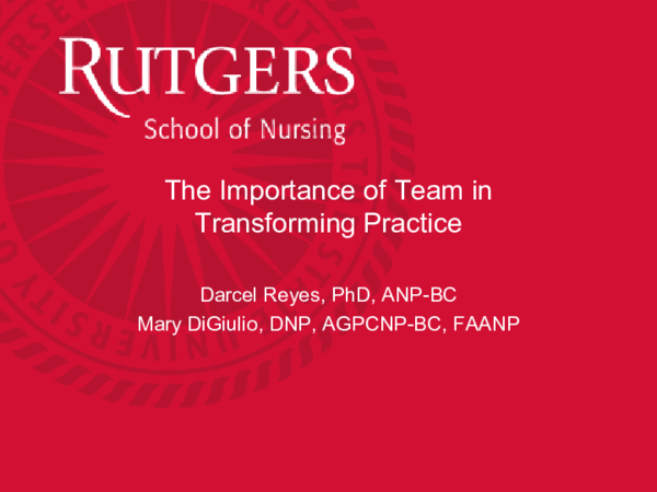 (PDF) The Importance of Team in Transforming Practice