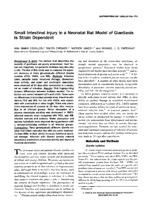 (PDF) Small intestinal injury in a neonatal rat model of giardiasis is ...