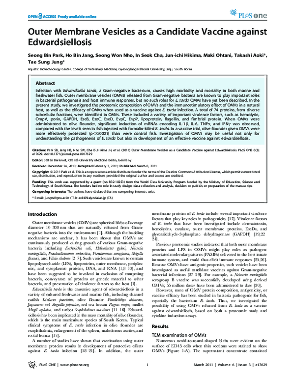 (PDF) Outer Membrane Vesicles as a Candidate Vaccine against ...