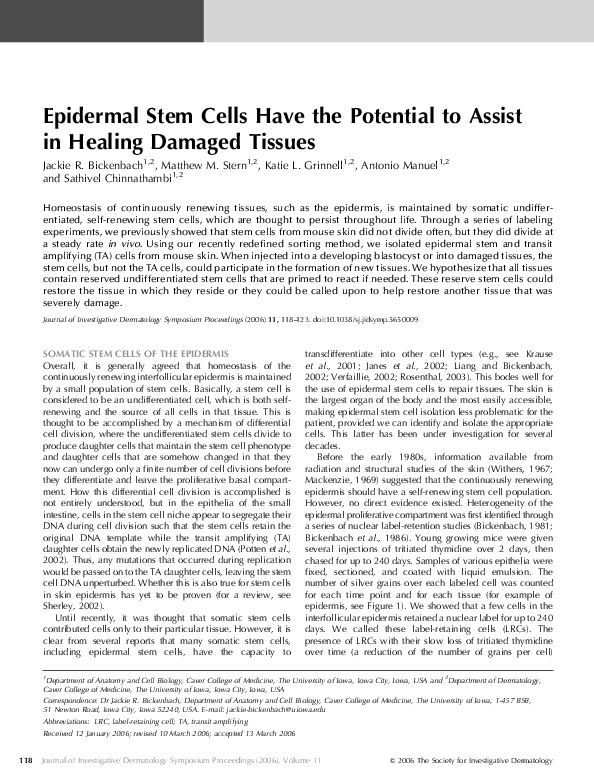 (PDF) Epidermal Stem Cells Have the Potential to Assist in Healing ...