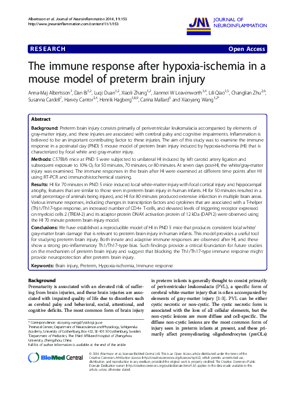 (PDF) The immune response after hypoxia-ischemia in a mouse model of ...