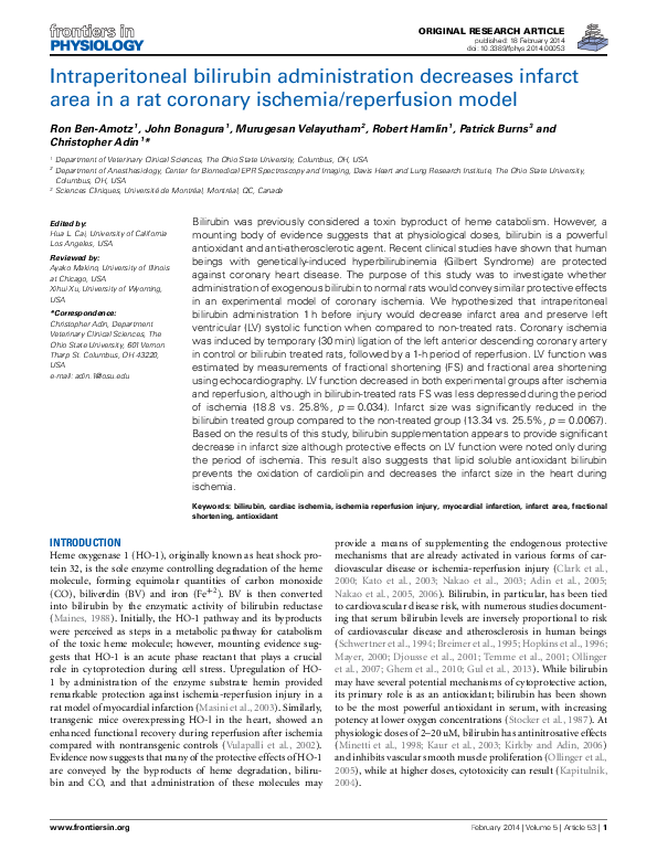 (PDF) Intraperitoneal bilirubin administration decreases infarct area ...