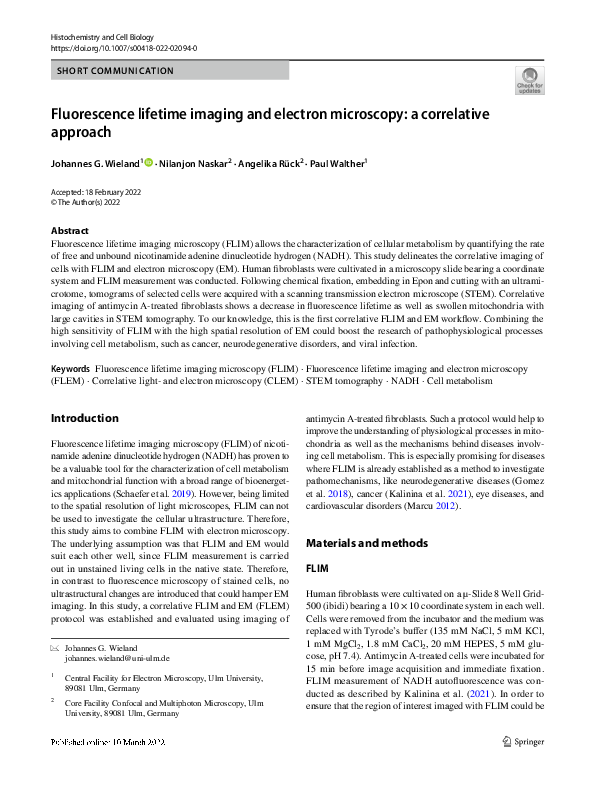 (PDF) Fluorescence lifetime imaging and electron microscopy: a ...