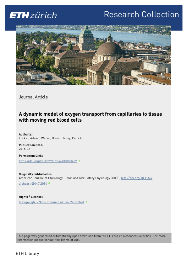 (PDF) A dynamic model of oxygen transport from capillaries to tissue ...