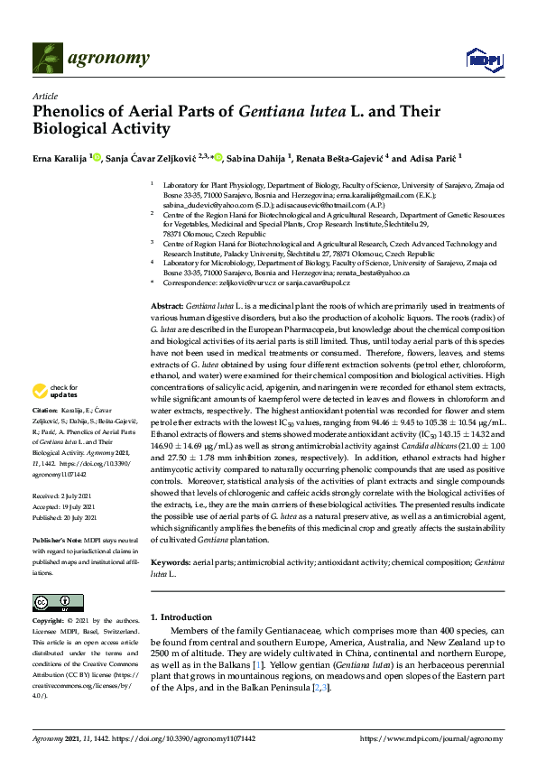 (PDF) Phenolics of Aerial Parts of Gentiana lutea L. and Their ...