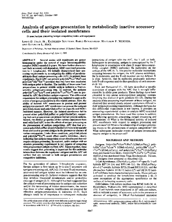 (PDF) Analysis of antigen presentation by metabolically inactive ...