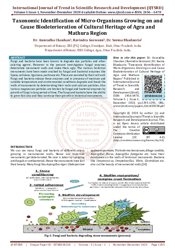 (PDF) Taxonomic Identification of Micro-Organisms Growing on and Cause ...