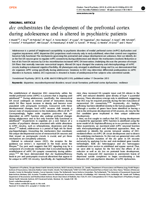 (PDF) DCC Orchestrates the Development of the Prefrontal Cortex During ...