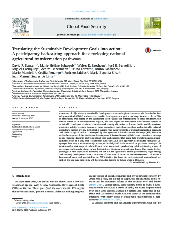 (PDF) Translating the Sustainable Development Goals into action: A ...