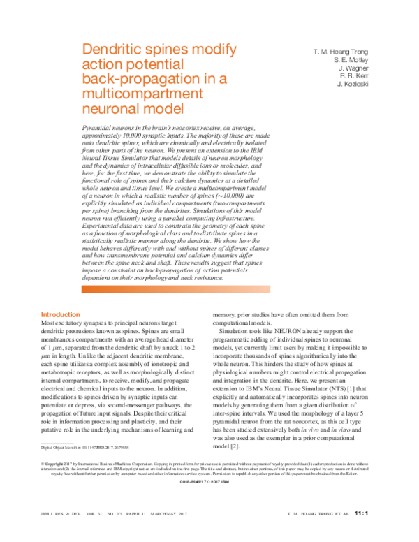 (PDF) Dendritic spines modify action potential back-propagation in a ...