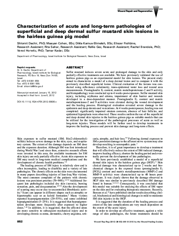 Picture of (PDF) Characterization of acute and long‐term pathologies of ...