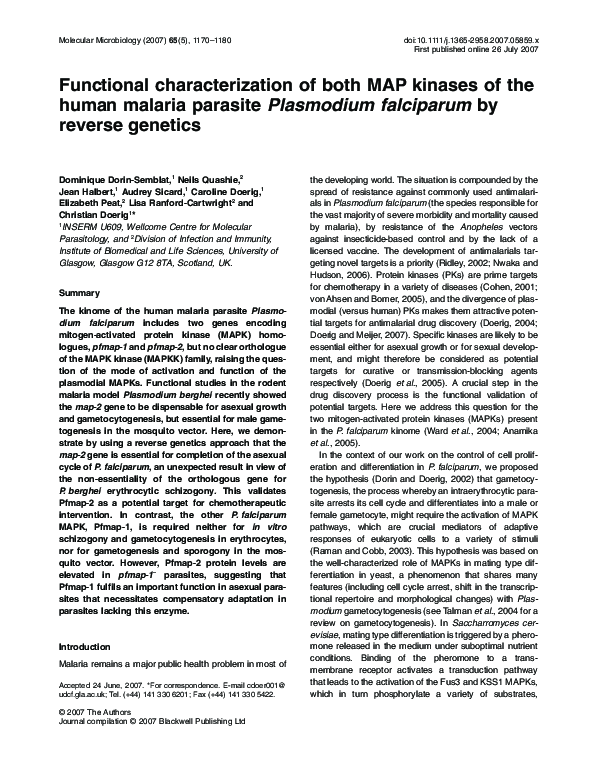 (PDF) Functional characterization of both MAP kinases of the human ...