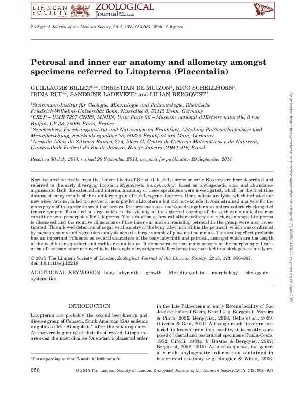 (PDF) Petrosal and inner ear anatomy and allometry amongst specimens ...
