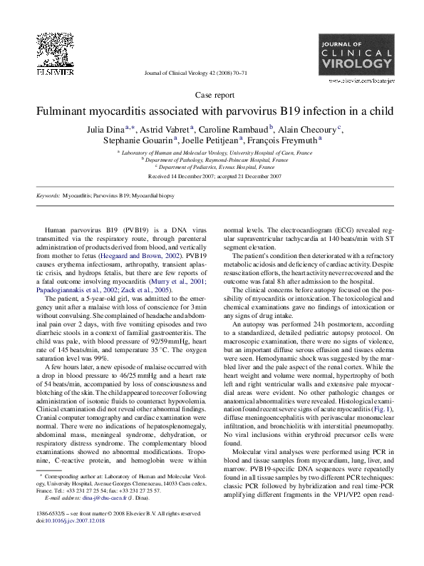 (PDF) Fulminant myocarditis associated with parvovirus B19 infection in ...