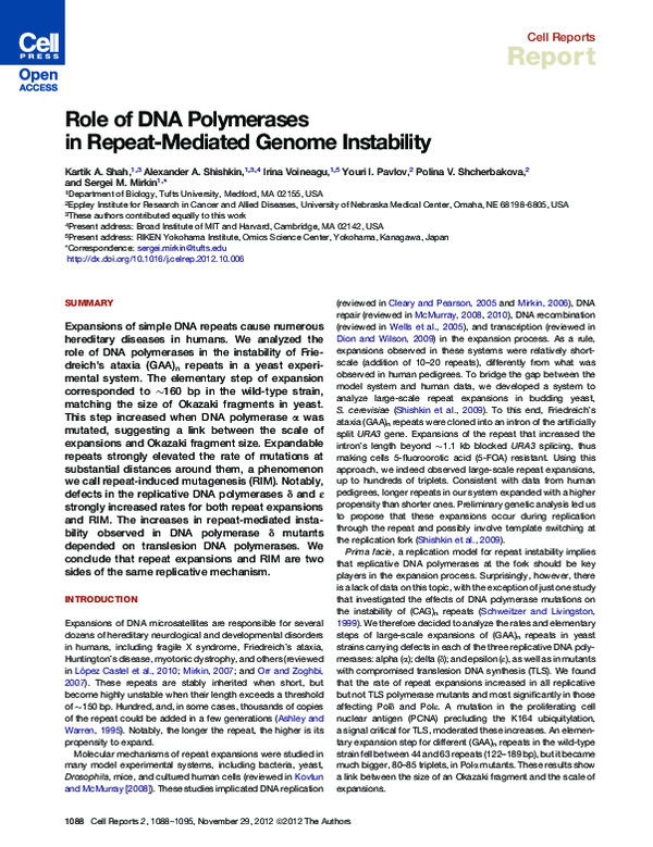 (PDF) Role of DNA Polymerases in Repeat-Mediated Genome Instability