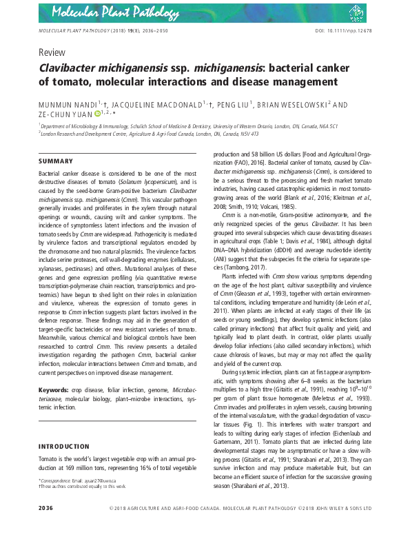 (PDF) Clavibacter michiganensis ssp. michiganensis: bacterial canker of ...
