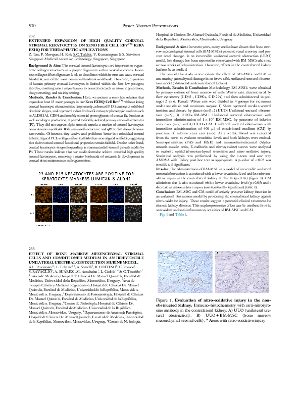 (PDF) Effect of bone marrow mesenchymal stromal cells and conditioned ...