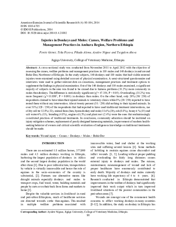 (PDF) Injuries in Donkeys and Mules: Causes, Welfare Problems and ...