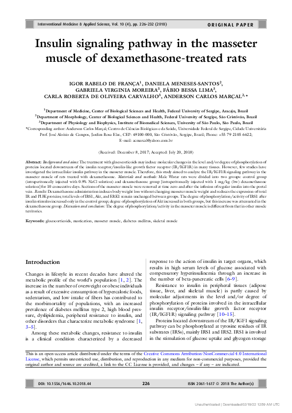 (PDF) Insulin signaling pathway in the masseter muscle of dexamethasone ...