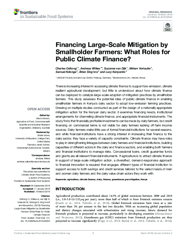 (PDF) Financing Large-Scale Mitigation by Smallholder Farmers: What ...