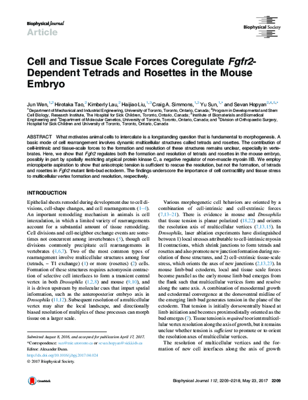 (PDF) Cell and Tissue Scale Forces Coregulate Fgfr2-Dependent Tetrads ...