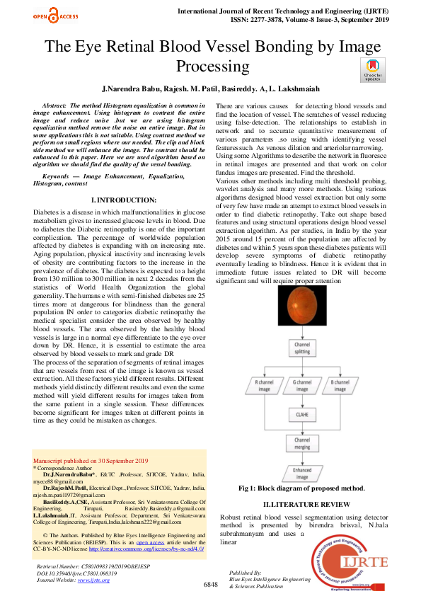 (PDF) The Eye Retinal Blood Vessel Bonding by Image Processing