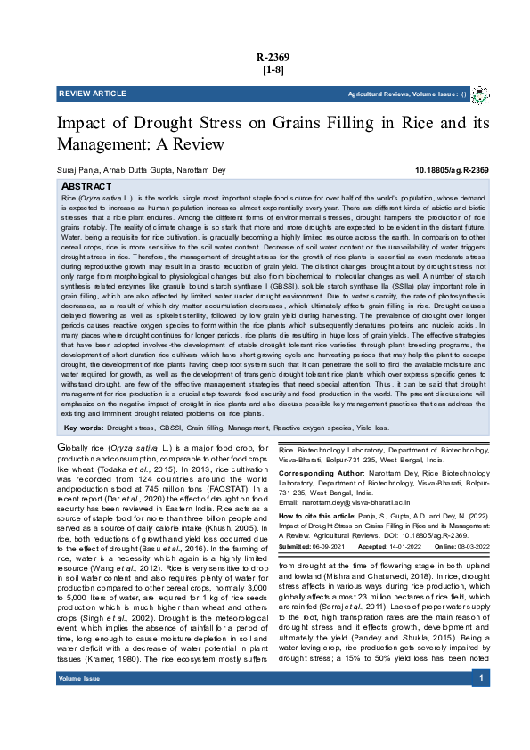 (PDF) Impact of Drought Stress on Grains Filling in Rice and its ...