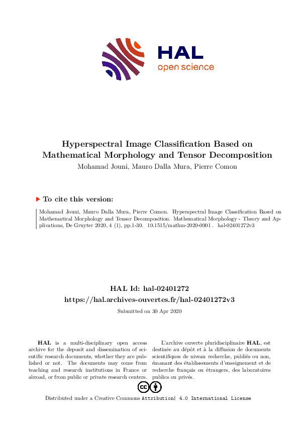 (PDF) Hyperspectral Image Classification Based on Mathematical ...
