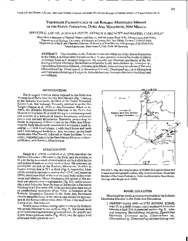 (PDF) Vertebrate paleontology of the Robledo Mountains Member of the ...