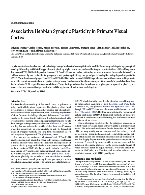 (PDF) Associative Hebbian Synaptic Plasticity in Primate Visual Cortex