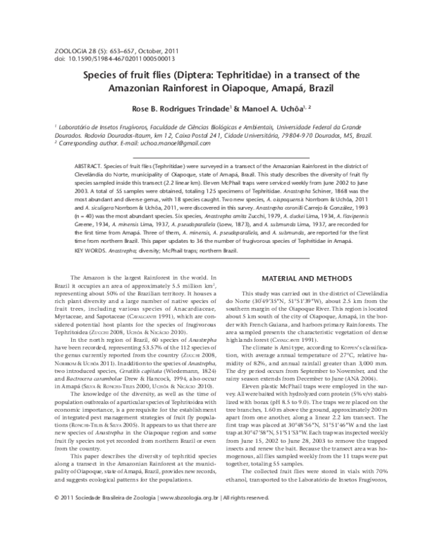 (PDF) Species of fruit flies (Diptera: Tephritidae): in a transect of ...