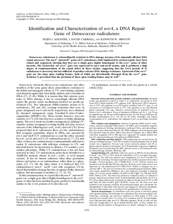 (PDF) Identification and characterization of uvrA, a DNA repair gene of ...