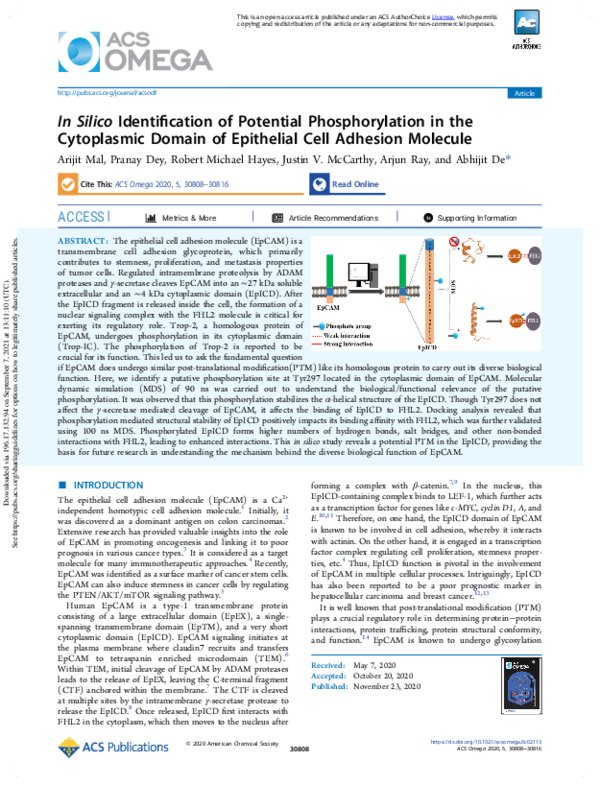 (PDF) In Silico Identification of Potential Phosphorylation in the ...
