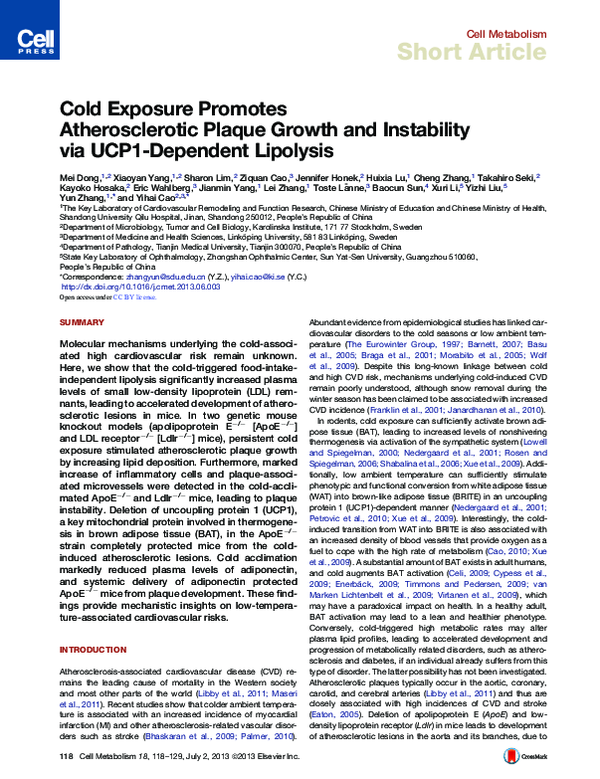 (PDF) Cold Exposure Promotes Atherosclerotic Plaque Growth and ...