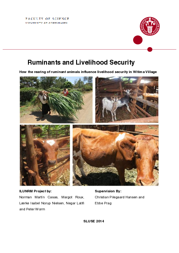 (PDF) Ruminants and Livelihood Security