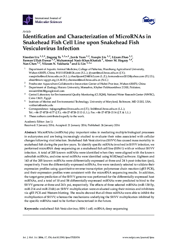 (PDF) Identification and Characterization of MicroRNAs in Snakehead ...