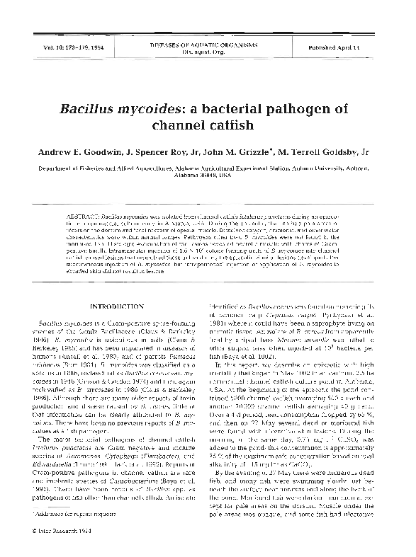 (PDF) Bacillus mycoides: a bacterial pathogen of channel catfish