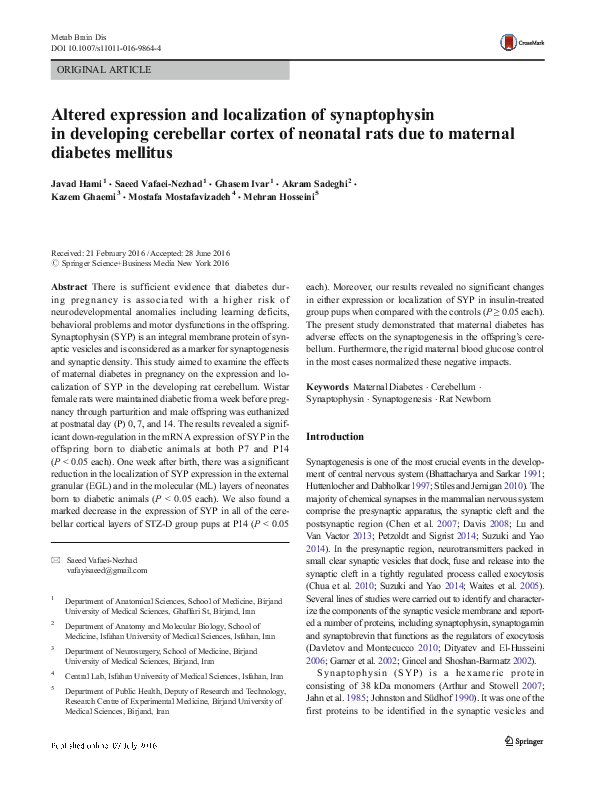 (PDF) Altered expression and localization of synaptophysin in ...