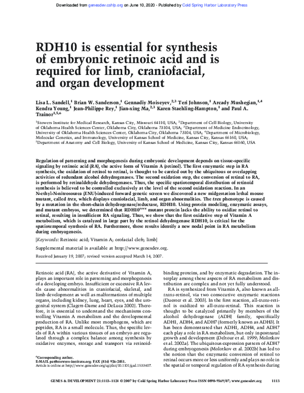 (PDF) RDH10 is essential for synthesis of embryonic retinoic acid and ...