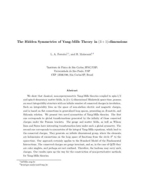 (PDF) The Hidden Symmetries of Yang-Mills Theory in (3 + 1)-dimensions