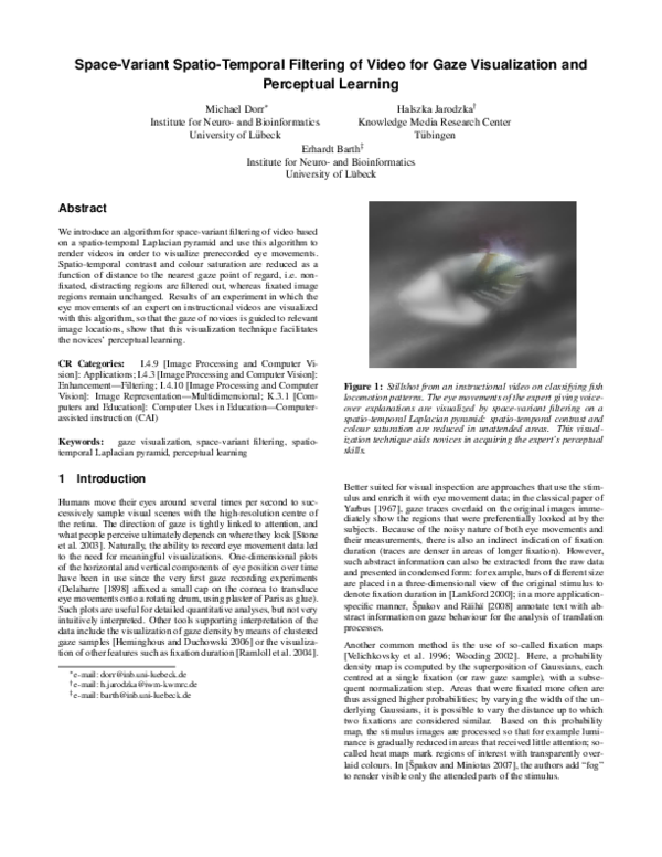 (PDF) Space-variant spatio-temporal filtering of video for gaze ...
