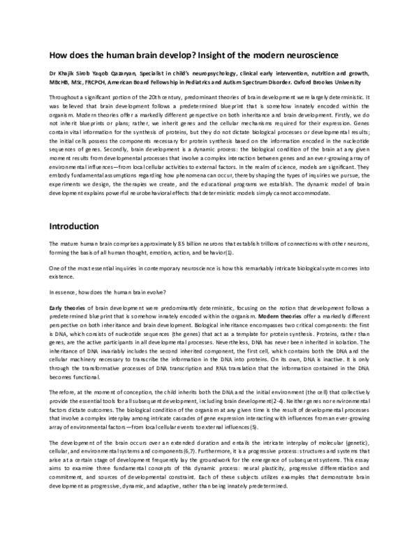 (PDF) How does the human brain develop? Insight of the modern neuroscience