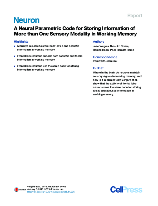 (PDF) A Neural Parametric Code for Storing Information of More than One ...