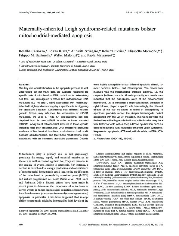 (PDF) Maternally‐inherited Leigh syndrome‐related mutations bolster ...